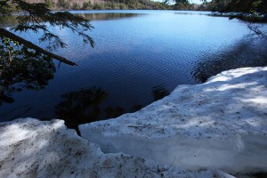 雪の残る白駒池