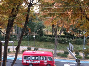 サロンの窓から見える埼玉県営北浦和公園とバス