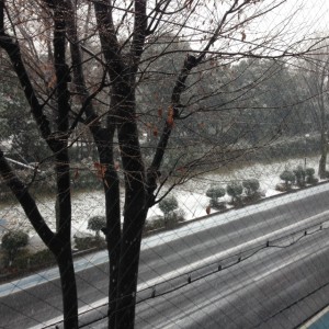 KMAサロンの窓から見る埼玉県営北浦和公園の雪景色