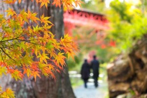 紅葉の京都をカップルで散策