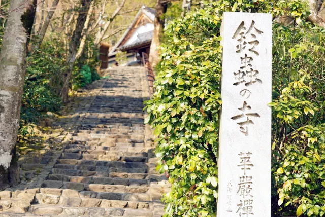 京都・鈴虫寺で良縁祈願｜縁結びデートで婚活が前進する理由と参拝マナーの画像