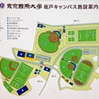 東京国際大学キャンパス図