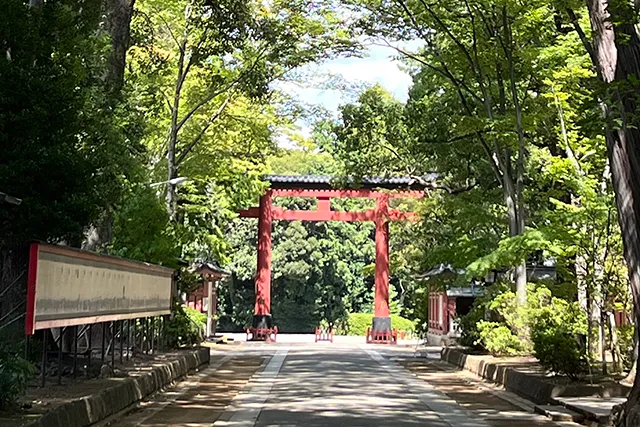 大宮氷川神社の参道から見た三ノ鳥居の写真