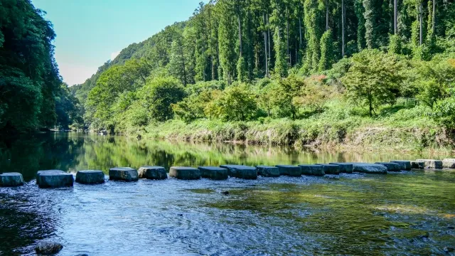 嵐山渓谷の槻川に架かる飛び石|水音と緑に包まれた静寂の散策路
