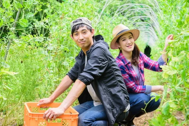畑で収納かごを持つ男性と寄り添う女性の農家夫婦。30代婚活で実家継承と地方移住を選んだカップルの象徴的な一枚
