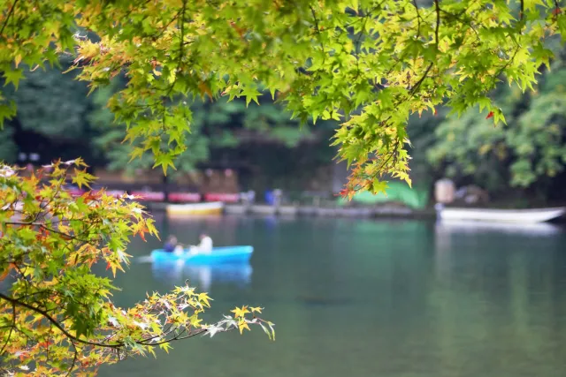 色づき始めた紅葉を背景に、湖畔に浮かぶボートで静かに過ごすカップルの遠景。森と水辺が織りなす、秋の癒し空間